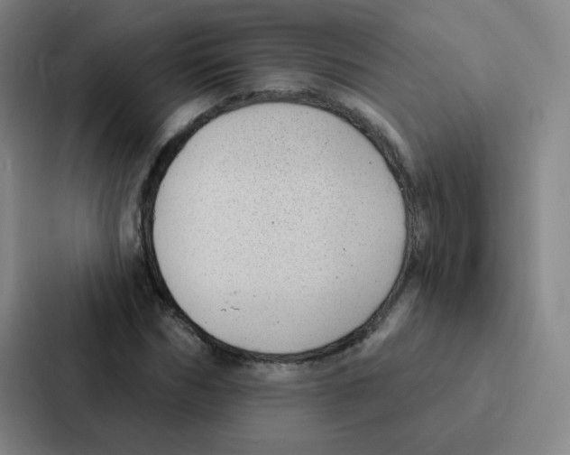 X0000086950970200705141819