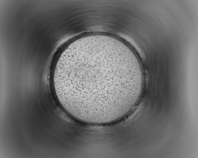 X0000086950971200705141819