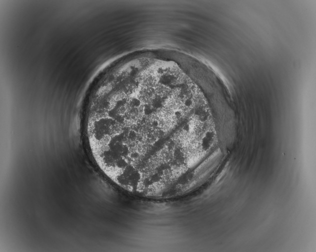 X0000086950975200705141819