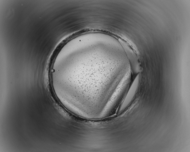 X0000086950976200705141819