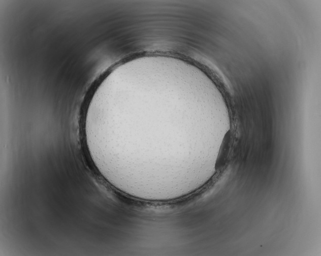 X0000086950978200705141819