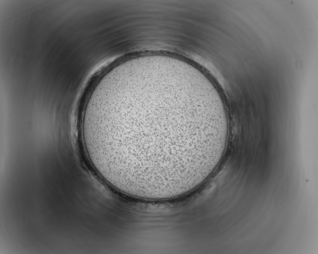 X0000086950979200705141819