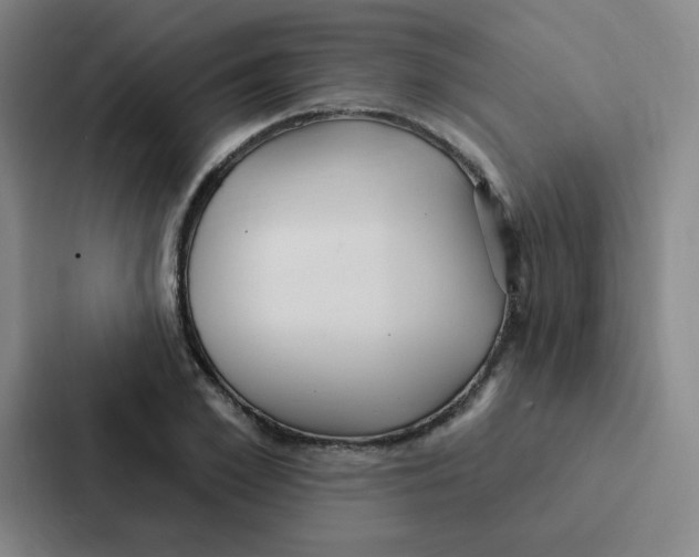 X0000086950981200705141819