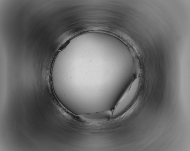 X0000086950985200705141818