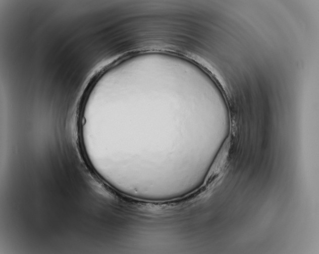 X0000086950987200705141818