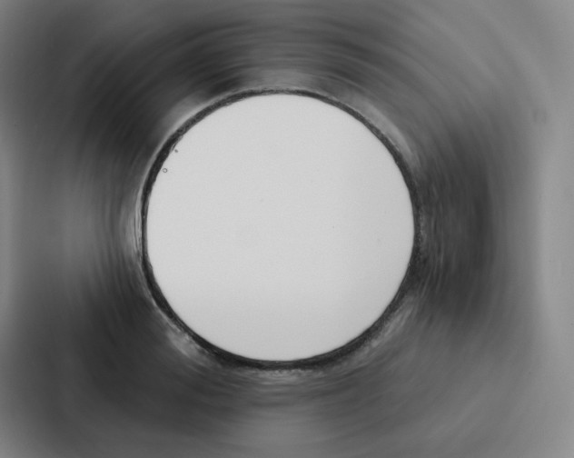 X0000086950988200705141818