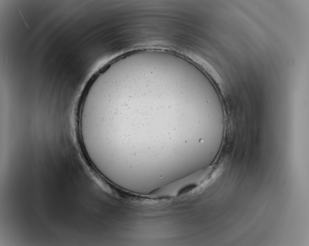 X0000086950989200705141818