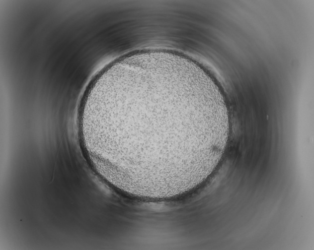 X0000086950990200705141818