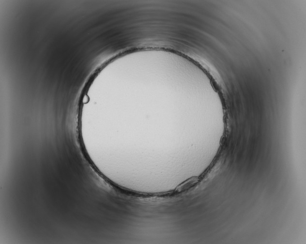 X0000086950992200705141818