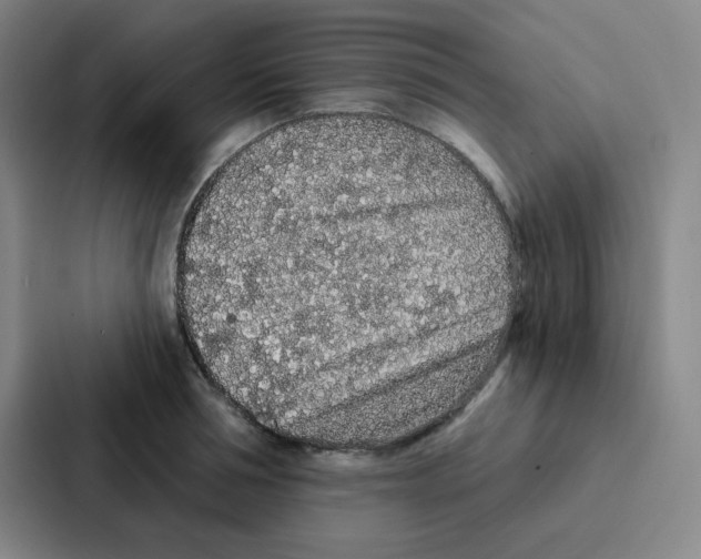 X0000086950994200705141818