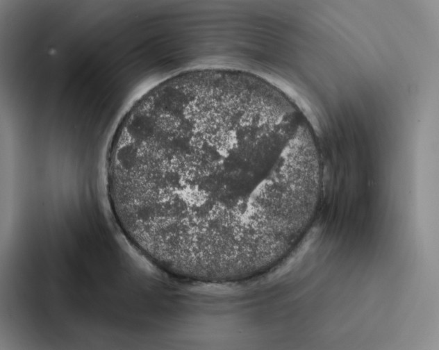 X0000086950998200705141818