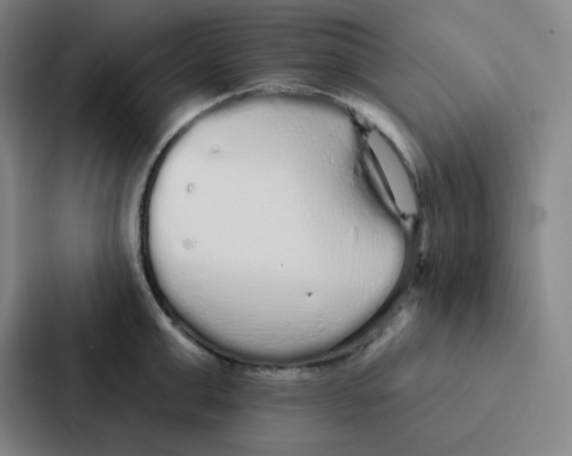 X0000086950999200705141818