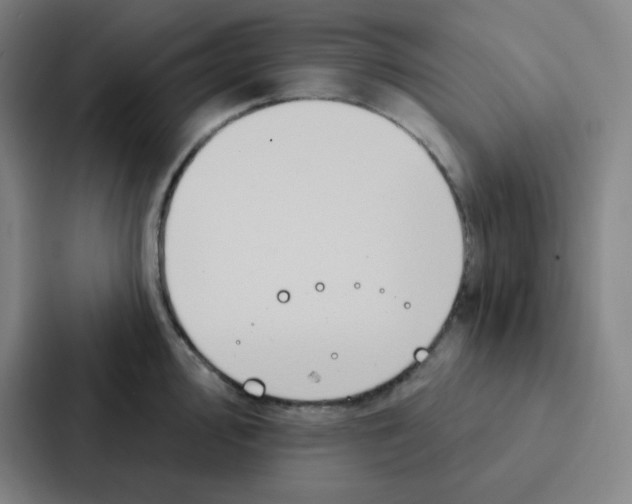 X0000086951000200705141818