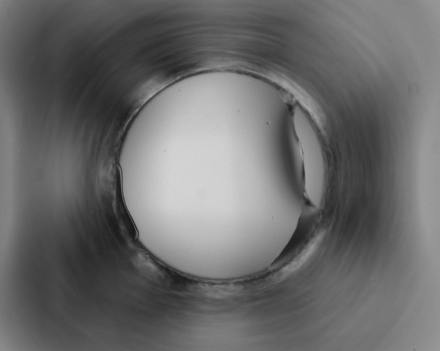 X0000086951001200705141818