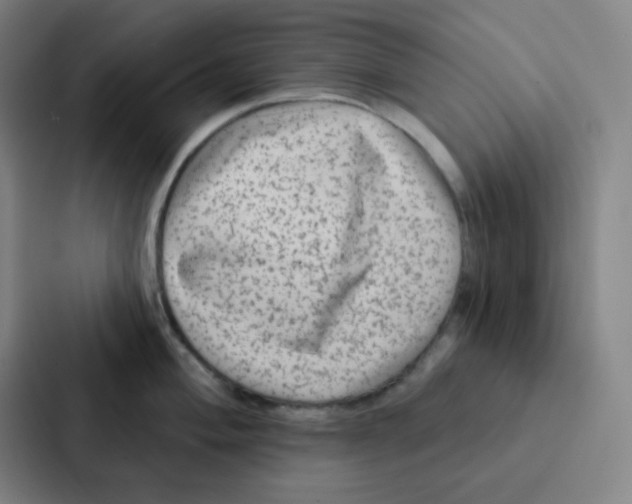 X0000086951004200705141818