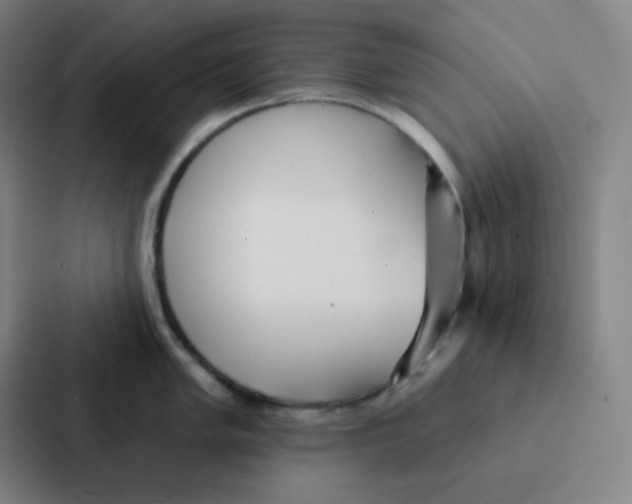 X0000086951005200705141818