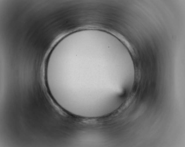 X0000086951006200705141818