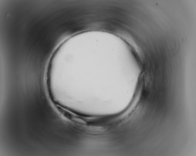 X0000086951007200705141818