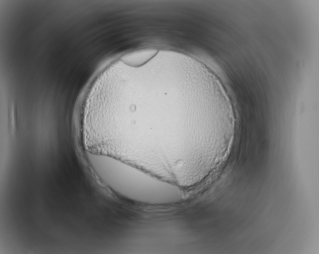 X0000086951008200705141818