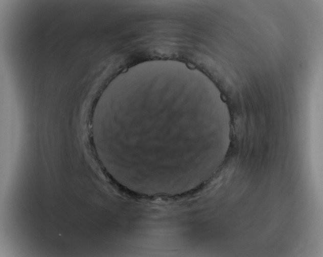 X0000086951009200705141818