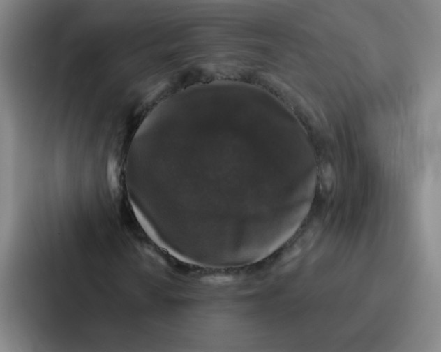 X0000086951010200705141818