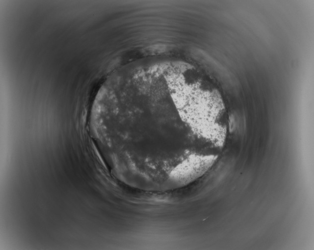 X0000086951011200705141818