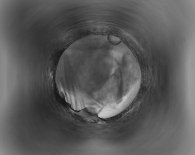 X0000086951013200705141818