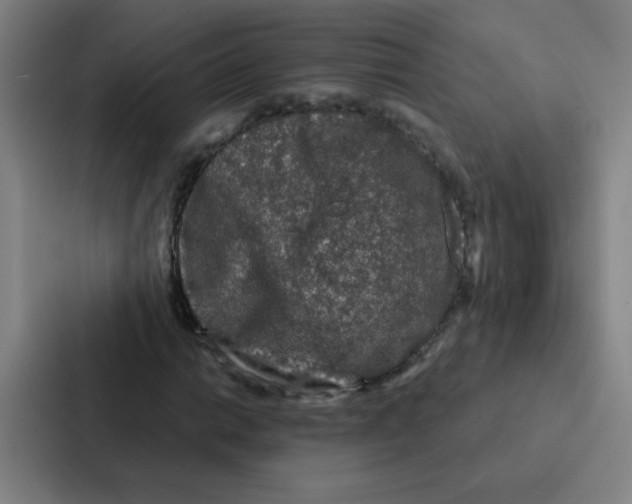 X0000086951014200705141818