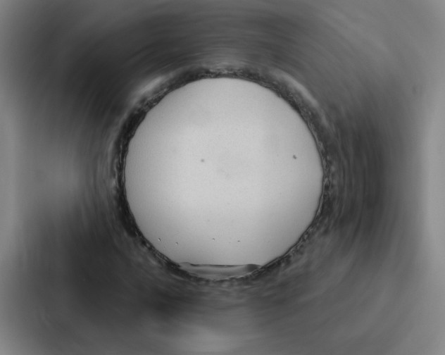 X0000086951016200705141818