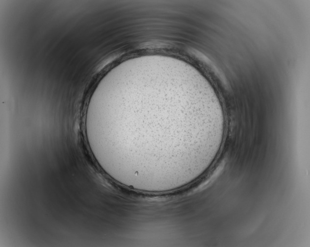 X0000086951017200705141818