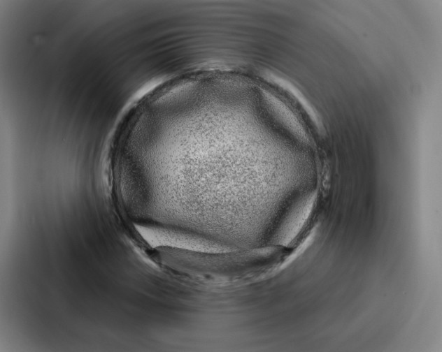 X0000086951018200705141818