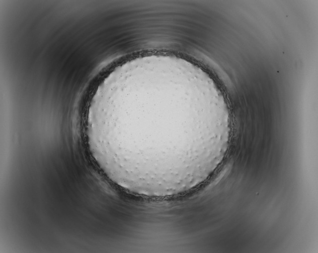 X0000086951019200705141818