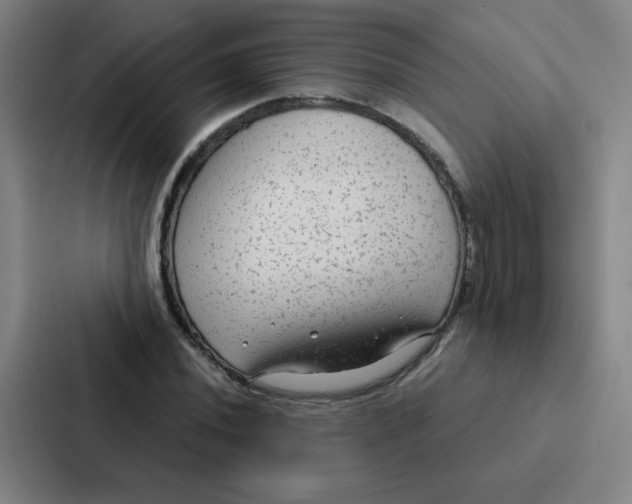 X0000086951020200705141818