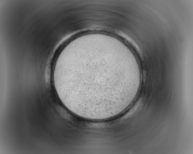 X0000086951021200705141818