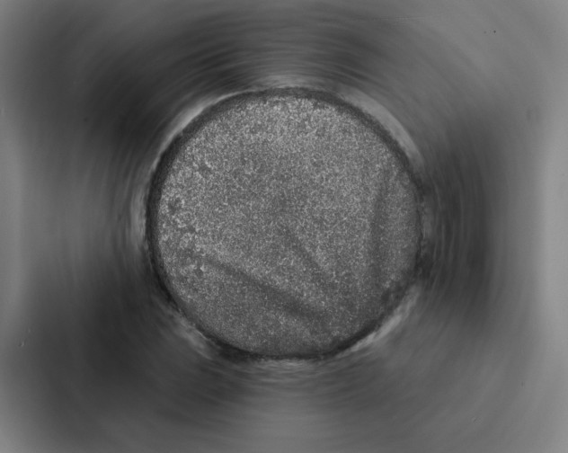 X0000086951023200705141818