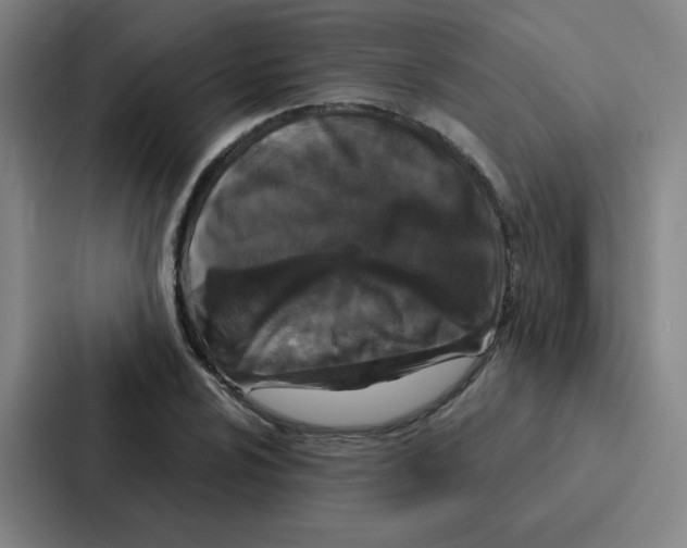 X0000086951024200705141818