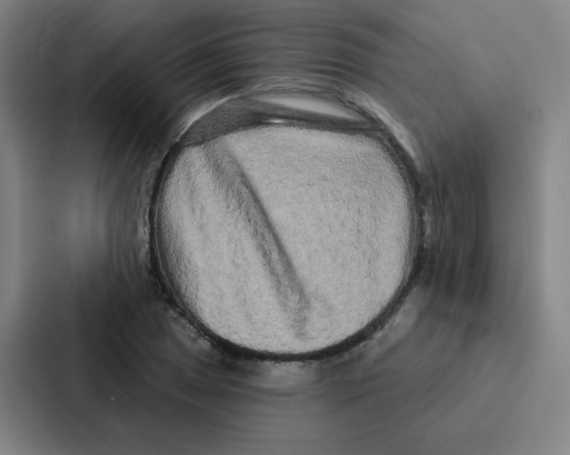 X0000086951025200705141818