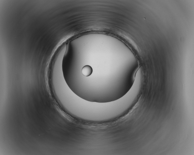 X0000086951026200705141818