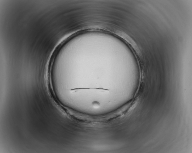 X0000086951028200705141818