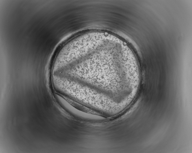 X0000086951029200705141818