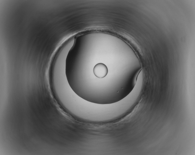 X0000086951030200705141818