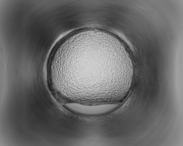 X0000086951032200705141818