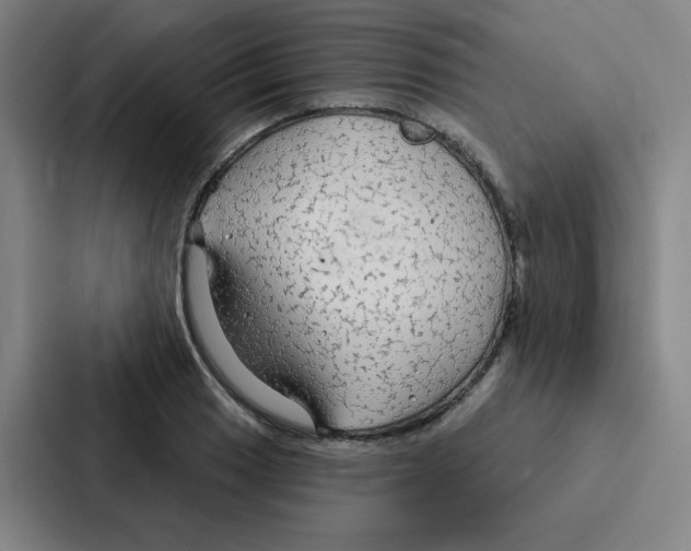 X0000086951033200705141818