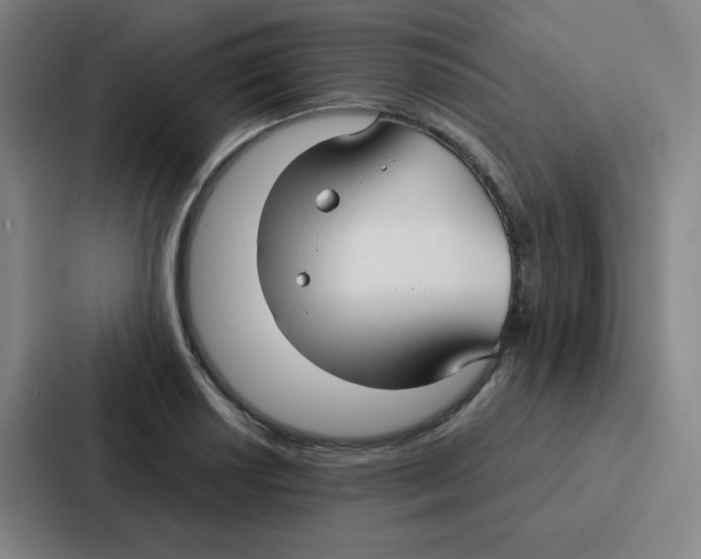 X0000086951034200705141818