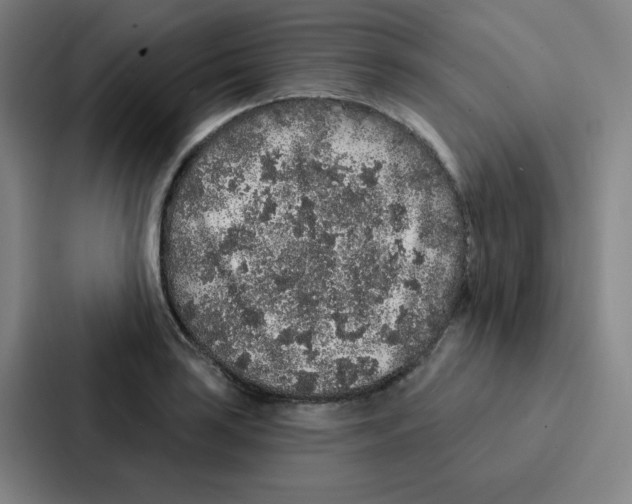 X0000086951035200705141818