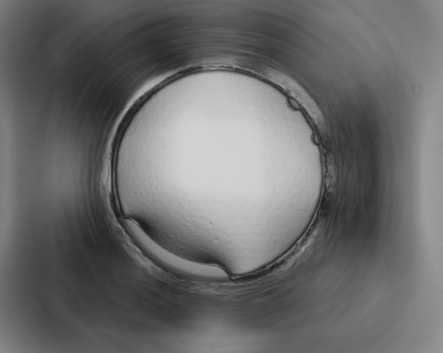 X0000086951036200705141818