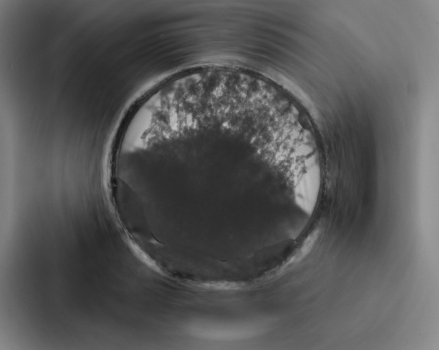 X0000086951037200705141818