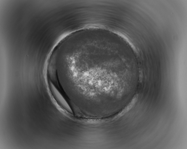 X0000086951038200705141818