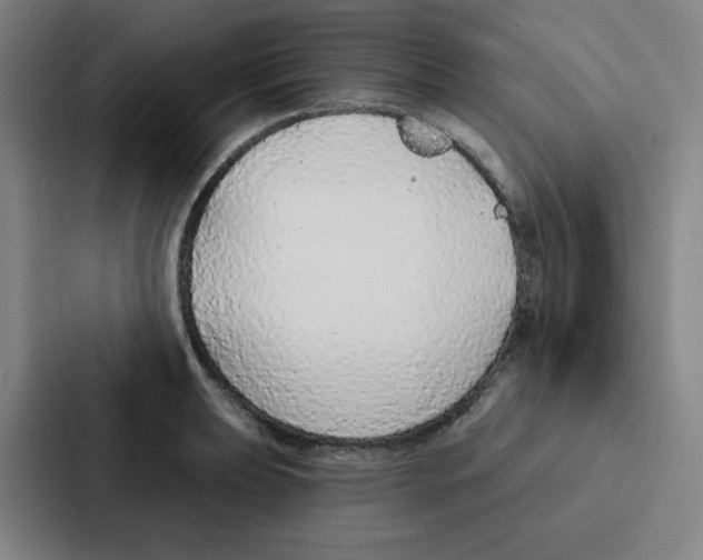 X0000086951039200705141818