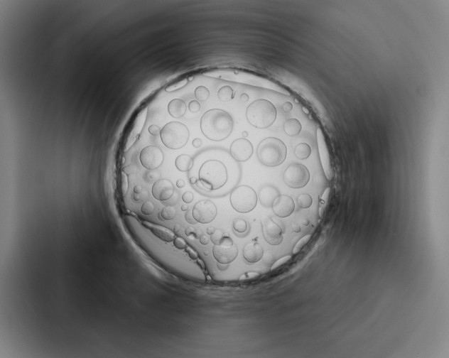 X0000086951040200705141818